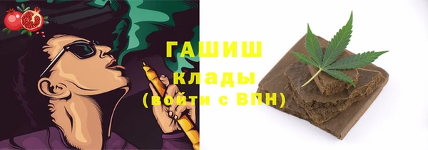 шишки Вяземский