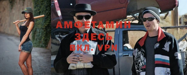 шишки Вяземский